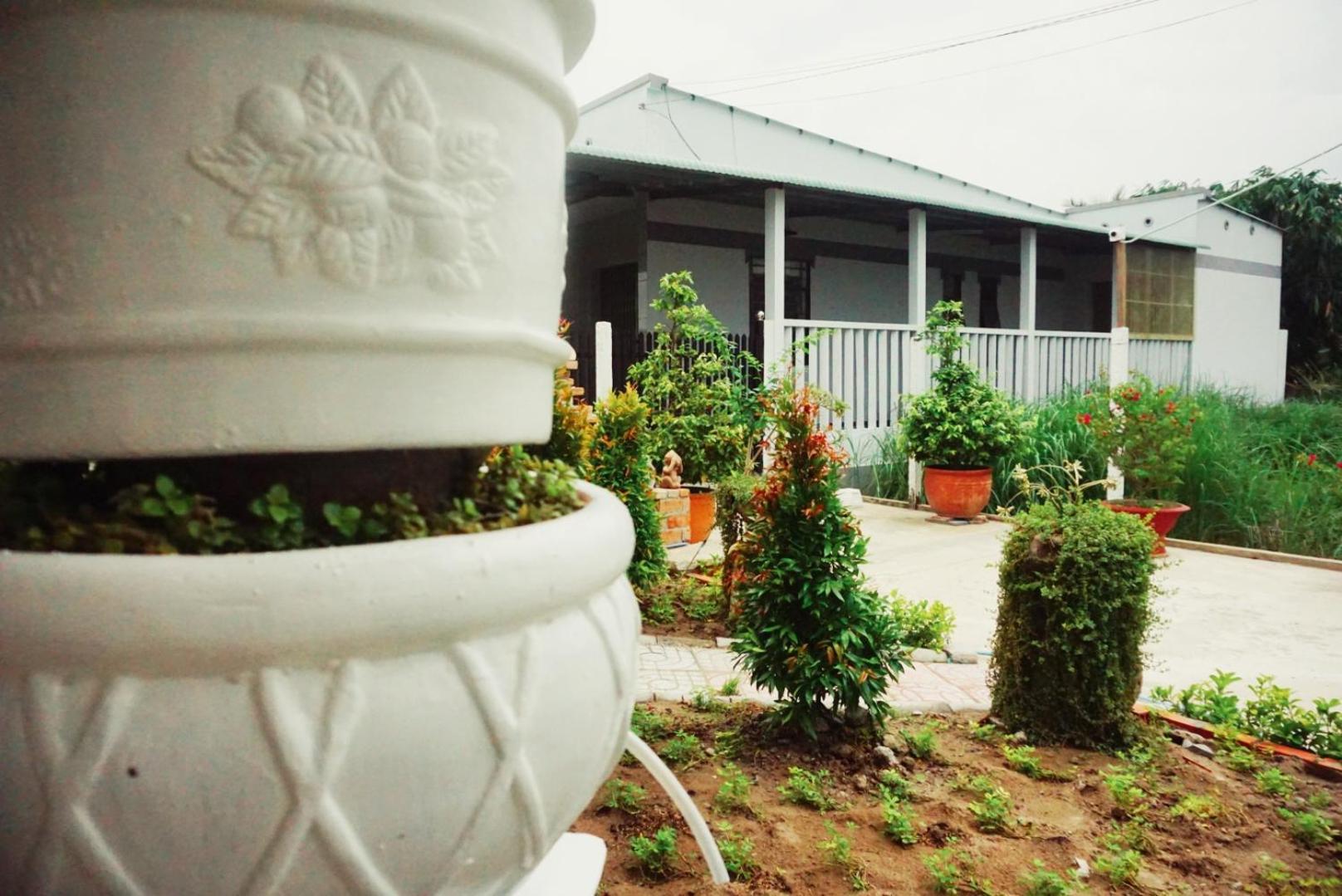 Mekong Pottery Homestay, Green-Friendly & Boat Tour Vĩnh Long Habitación foto